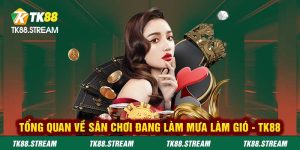 Tổng quan về sân chơi đang làm mưa làm gió - TK88